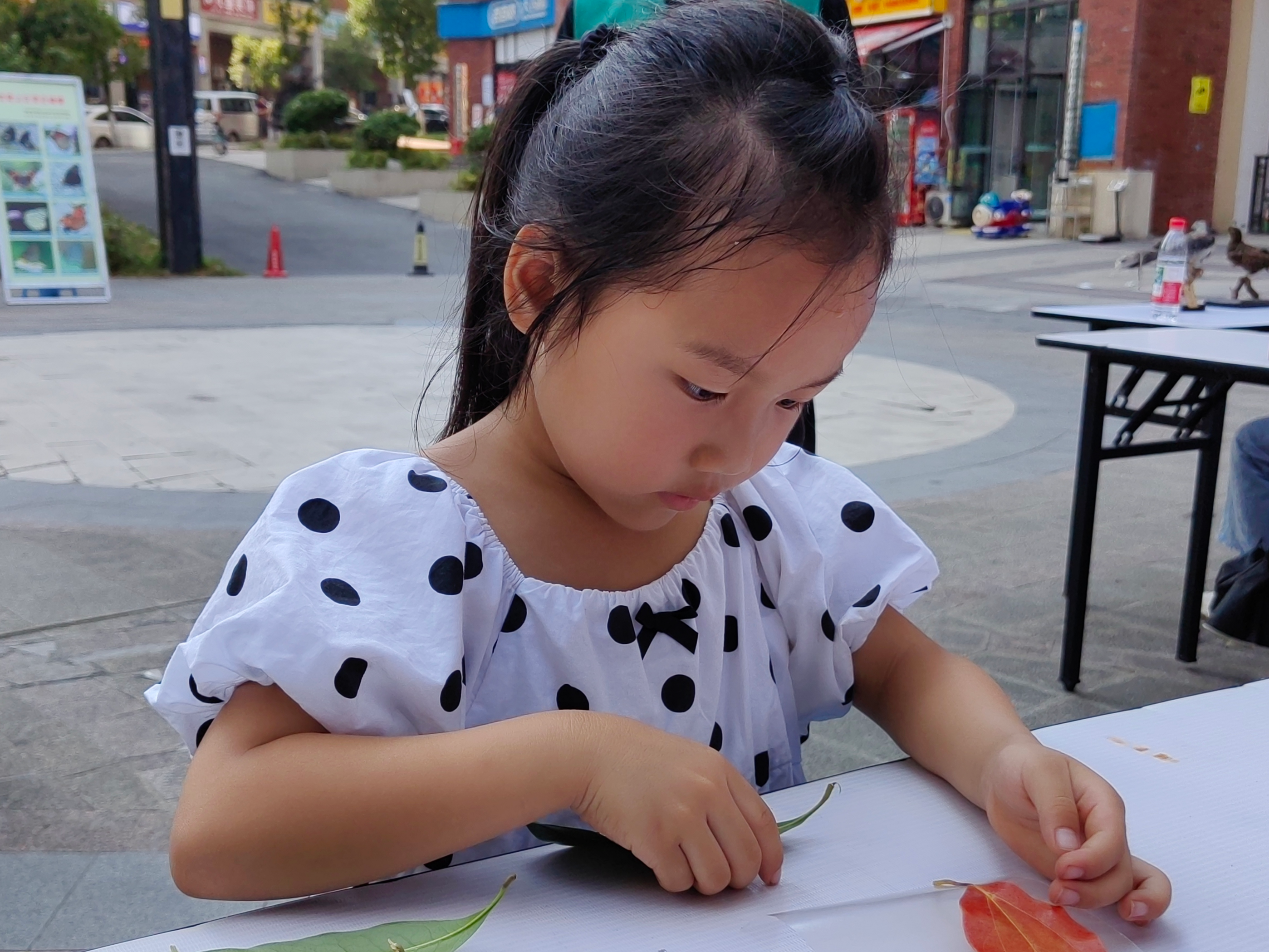 图为制作叶子书签2,唐诗琴摄.jpg