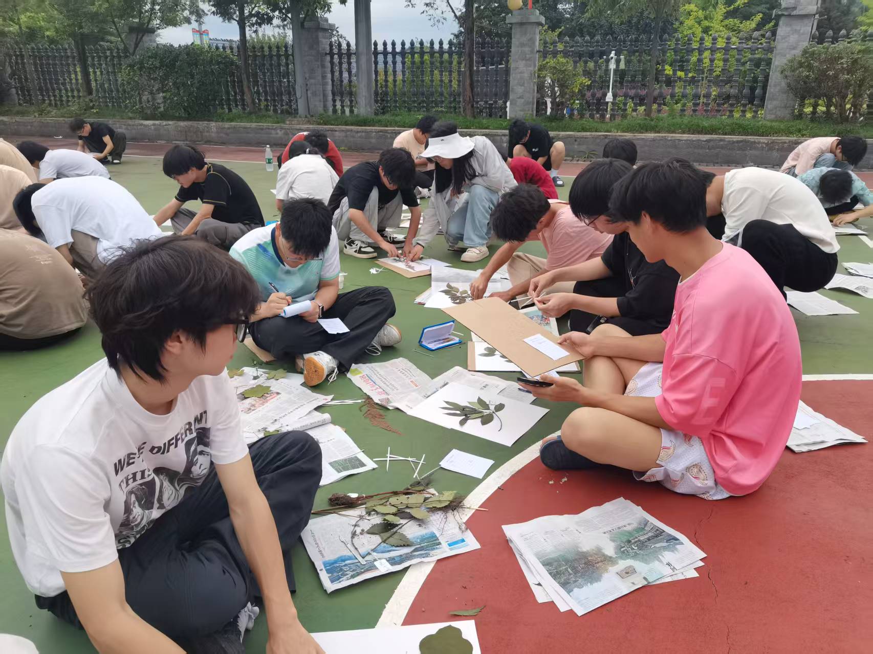 图为制作标本 (2).jpg